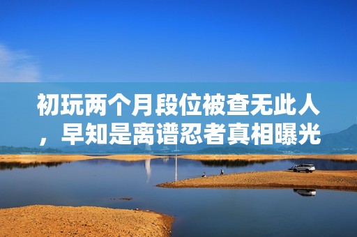 初玩两个月段位被查无此人，早知是离谱忍者真相曝光