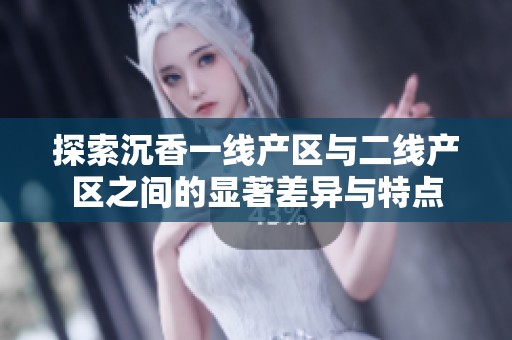 探索沉香一线产区与二线产区之间的显著差异与特点