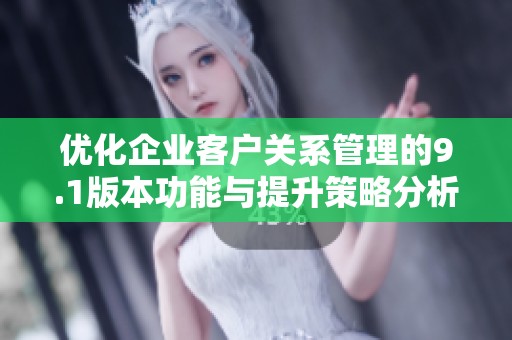 优化企业客户关系管理的9.1版本功能与提升策略分析