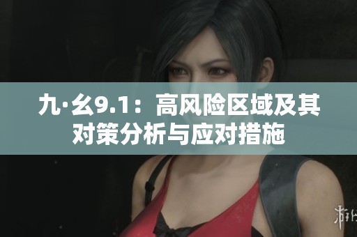 九·幺9.1：高风险区域及其对策分析与应对措施