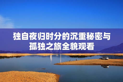 独自夜归时分的沉重秘密与孤独之旅全貌观看