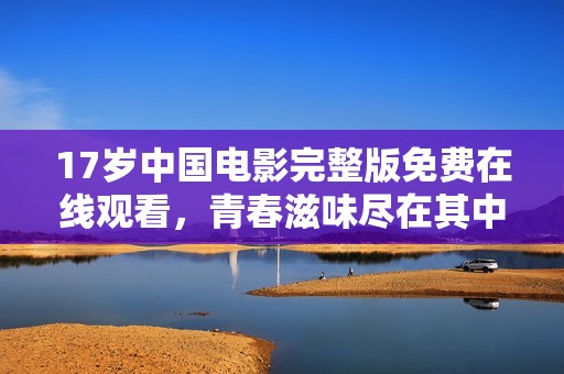 17岁中国电影完整版免费在线观看，青春滋味尽在其中