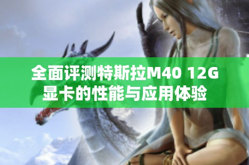 全面评测特斯拉M40 12G显卡的性能与应用体验
