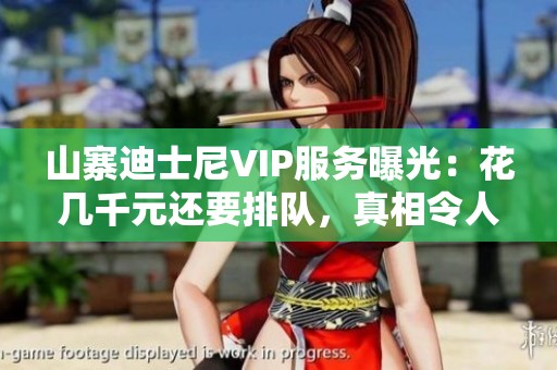 山寨迪士尼VIP服务曝光：花几千元还要排队，真相令人失望