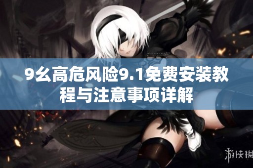 9幺高危风险9.1免费安装教程与注意事项详解