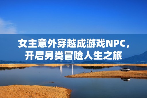 女主意外穿越成游戏NPC，开启另类冒险人生之旅