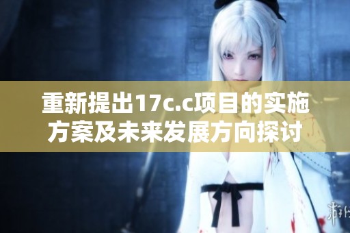 重新提出17c.c项目的实施方案及未来发展方向探讨