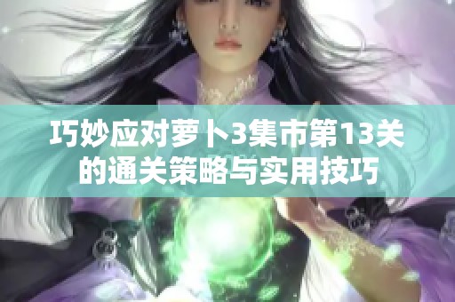 巧妙应对萝卜3集市第13关的通关策略与实用技巧