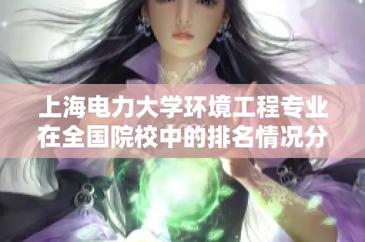 上海电力大学环境工程专业在全国院校中的排名情况分析