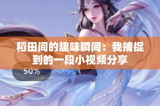 稻田间的趣味瞬间：我捕捉到的一段小视频分享