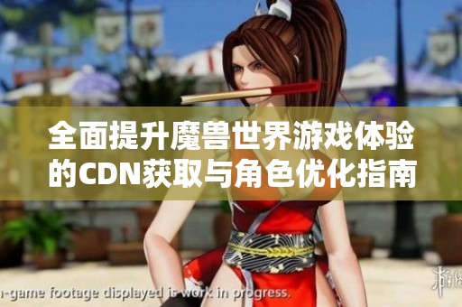 全面提升魔兽世界游戏体验的CDN获取与角色优化指南