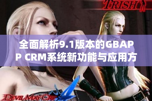 全面解析9.1版本的GBAPP CRM系统新功能与应用方法