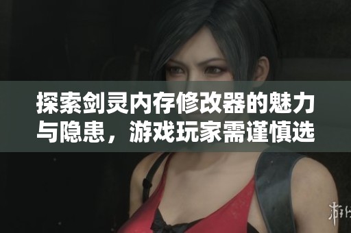 探索剑灵内存修改器的魅力与隐患，游戏玩家需谨慎选择