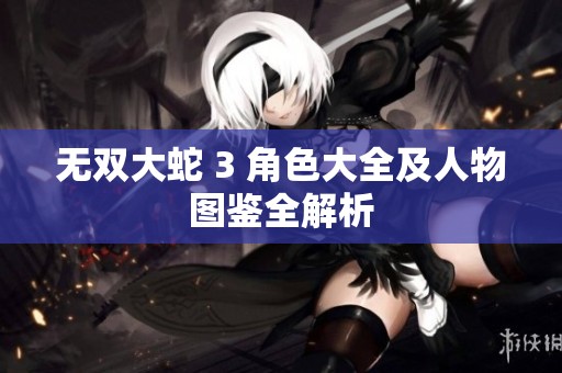 无双大蛇 3 角色大全及人物图鉴全解析