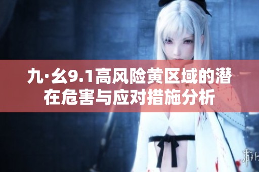 九·幺9.1高风险黄区域的潜在危害与应对措施分析