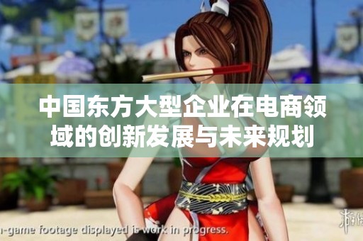中国东方大型企业在电商领域的创新发展与未来规划