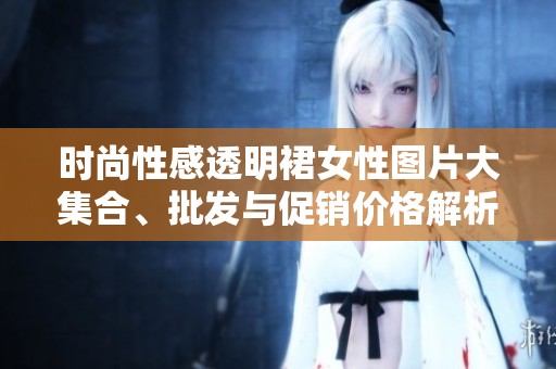 时尚性感透明裙女性图片大集合、批发与促销价格解析