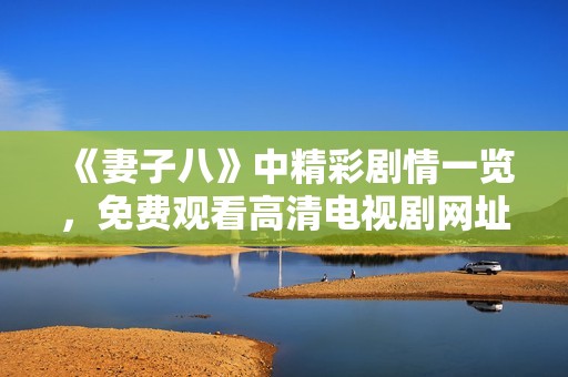 《妻子八》中精彩剧情一览，免费观看高清电视剧网址分享