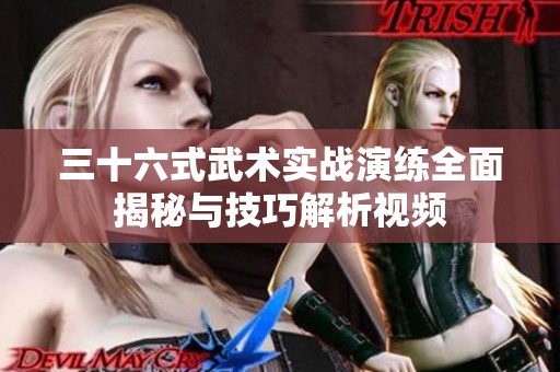 三十六式武术实战演练全面揭秘与技巧解析视频