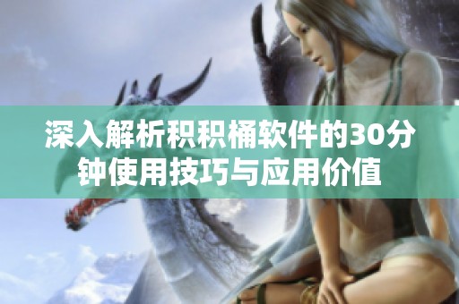 深入解析积积桶软件的30分钟使用技巧与应用价值