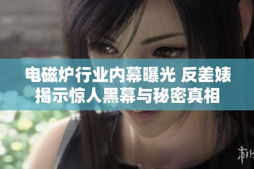 电磁炉行业内幕曝光 反差婊揭示惊人黑幕与秘密真相