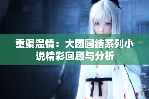 重聚温情：大团圆结系列小说精彩回顾与分析