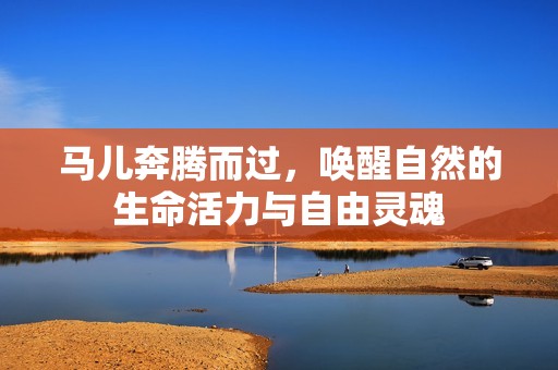 马儿奔腾而过，唤醒自然的生命活力与自由灵魂