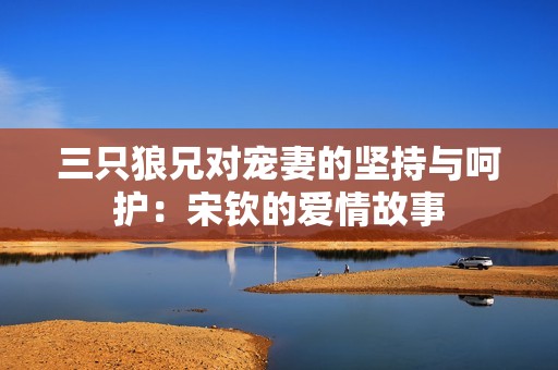 三只狼兄对宠妻的坚持与呵护：宋钦的爱情故事
