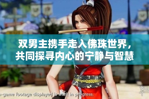双男主携手走入佛珠世界，共同探寻内心的宁静与智慧