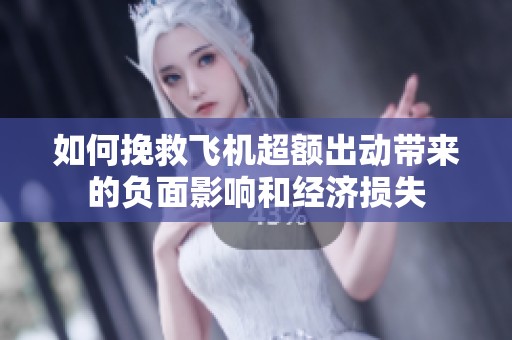 如何挽救飞机超额出动带来的负面影响和经济损失