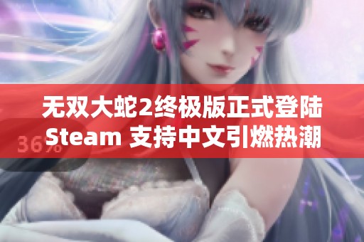 无双大蛇2终极版正式登陆Steam 支持中文引燃热潮