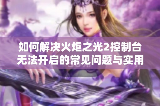 如何解决火炬之光2控制台无法开启的常见问题与实用技巧