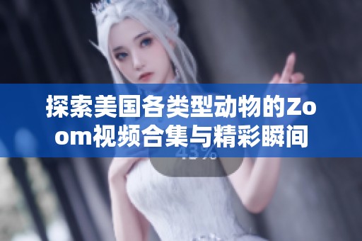探索美国各类型动物的Zoom视频合集与精彩瞬间