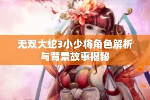无双大蛇3小少将角色解析与背景故事揭秘