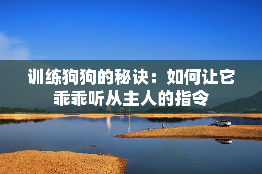 训练狗狗的秘诀：如何让它乖乖听从主人的指令