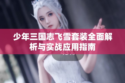 少年三国志飞雪套装全面解析与实战应用指南