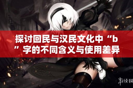 探讨回民与汉民文化中“b”字的不同含义与使用差异