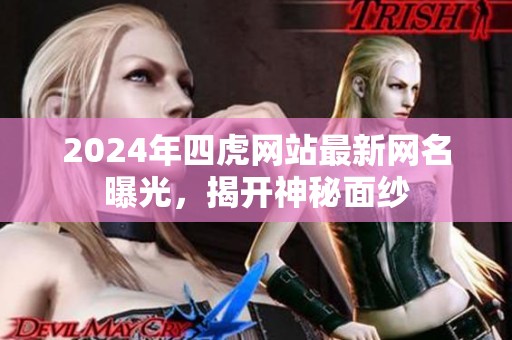2024年四虎网站最新网名曝光，揭开神秘面纱