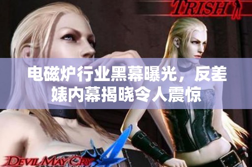 电磁炉行业黑幕曝光，反差婊内幕揭晓令人震惊