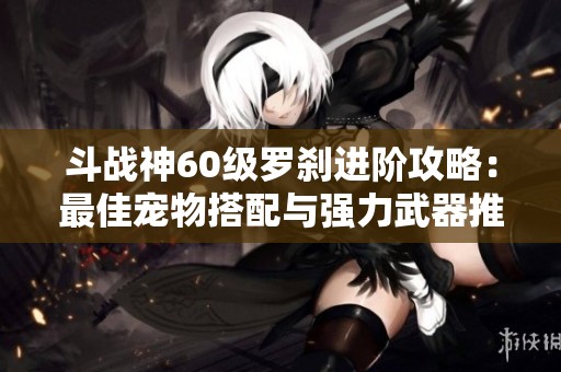 斗战神60级罗刹进阶攻略：最佳宠物搭配与强力武器推荐
