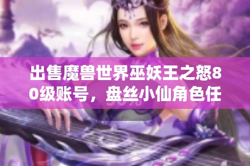 出售魔兽世界巫妖王之怒80级账号，盘丝小仙角色任你挑选