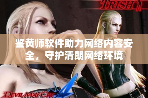 鉴黄师软件助力网络内容安全，守护清朗网络环境