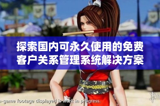 探索国内可永久使用的免费客户关系管理系统解决方案