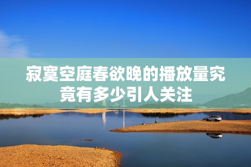 寂寞空庭春欲晚的播放量究竟有多少引人关注
