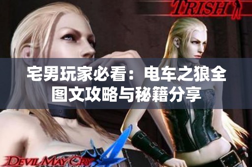 宅男玩家必看：电车之狼全图文攻略与秘籍分享