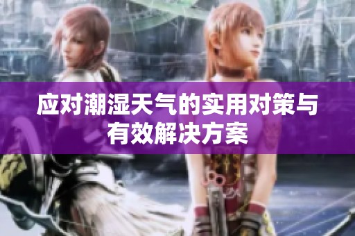 应对潮湿天气的实用对策与有效解决方案