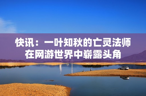 快讯：一叶知秋的亡灵法师在网游世界中崭露头角