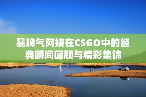 暴脾气阿姨在CSGO中的经典瞬间回顾与精彩集锦