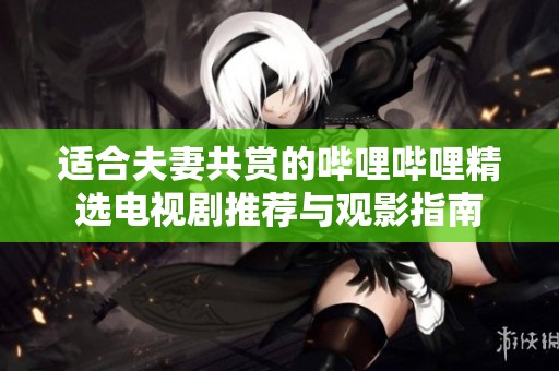 适合夫妻共赏的哔哩哔哩精选电视剧推荐与观影指南
