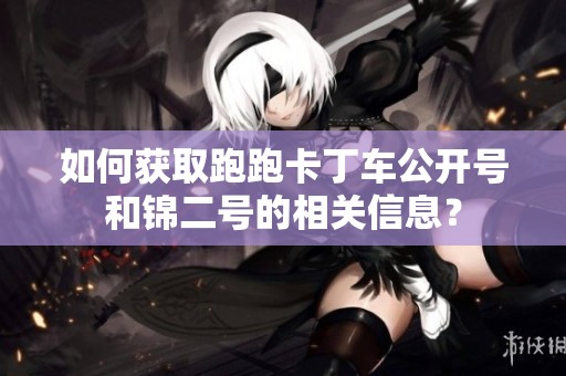 如何获取跑跑卡丁车公开号和锦二号的相关信息？